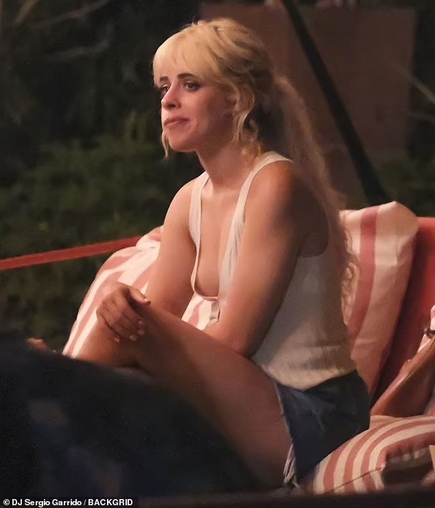 camila cabello wardrobe malfunction